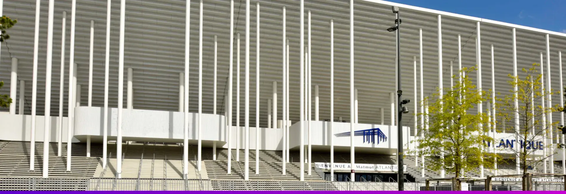 Photo de la foret de pilliers du stade ATLANTIQUE à Bordeaux